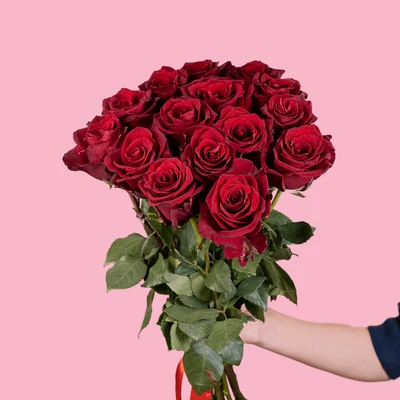 15 Элитных красных роз (Эквадор)